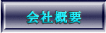 ЊTv